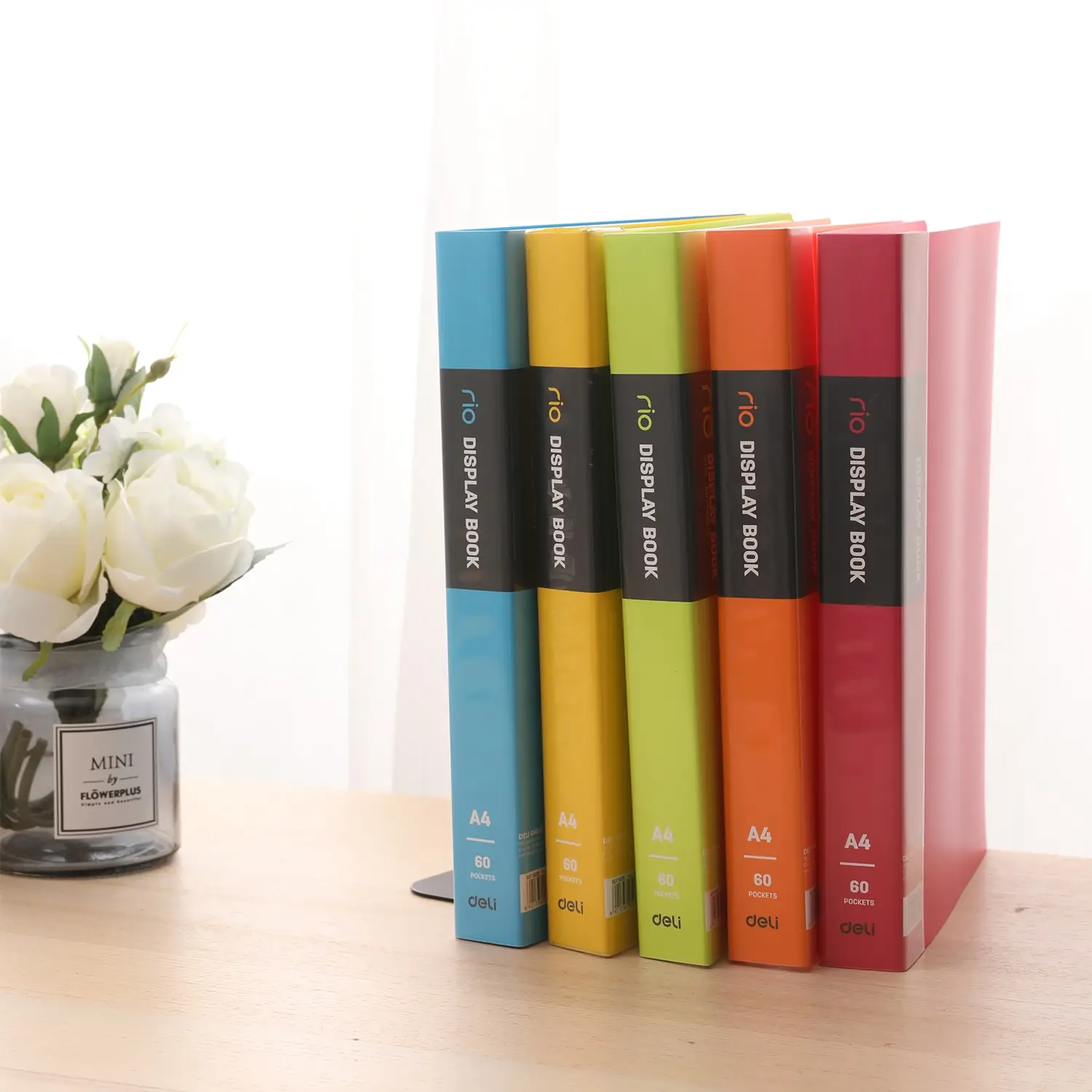 Carpeta con Folios Vivid Colors A4 60 hojas - Imagen 3