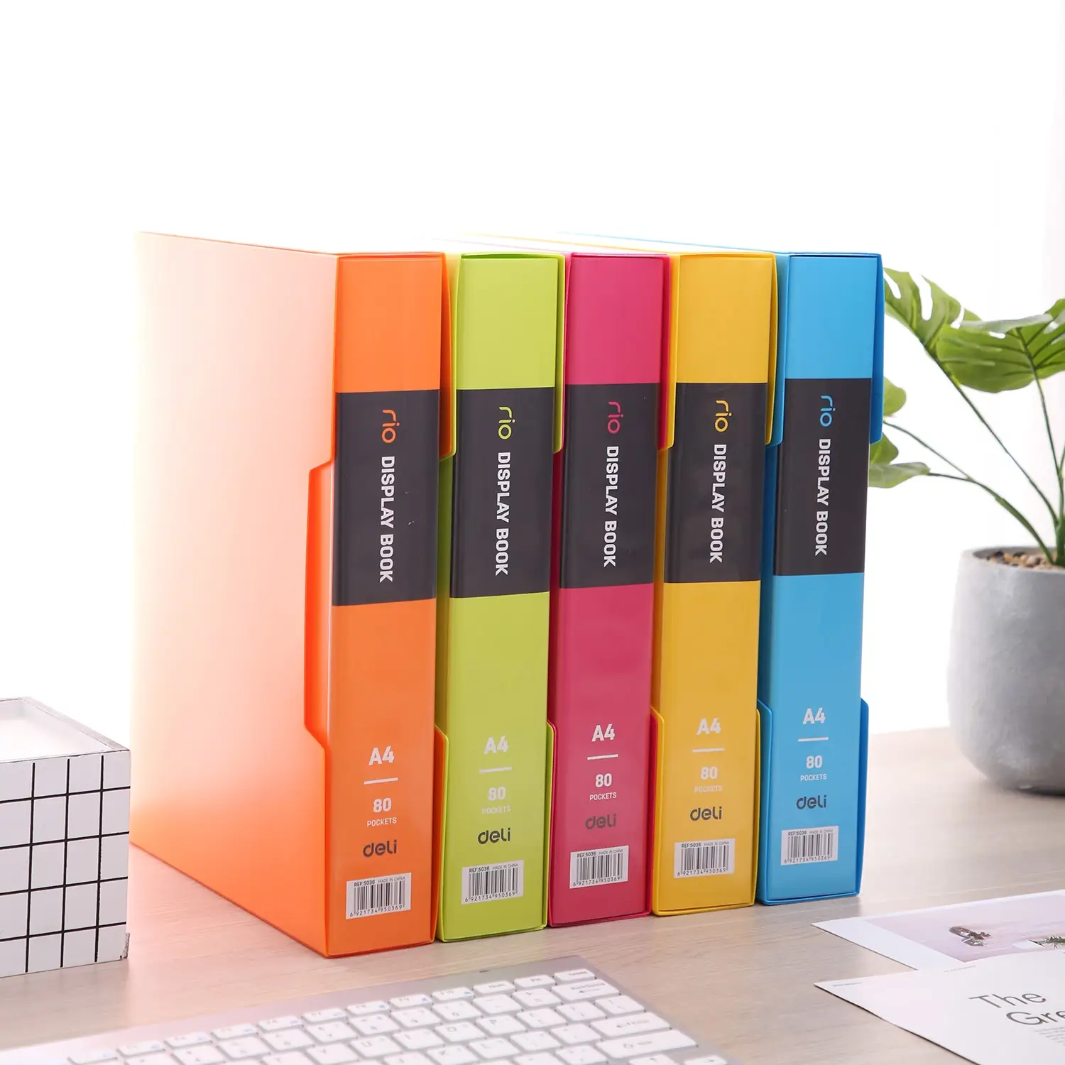 Carpeta con Folios Vivid Colors A4 80 hojas - Imagen 5
