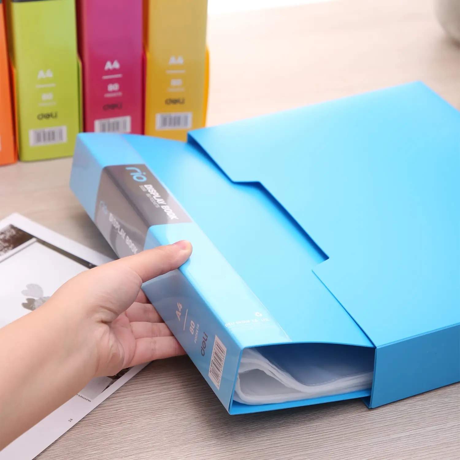Carpeta con Folios Vivid Colors A4 80 hojas - Imagen 2