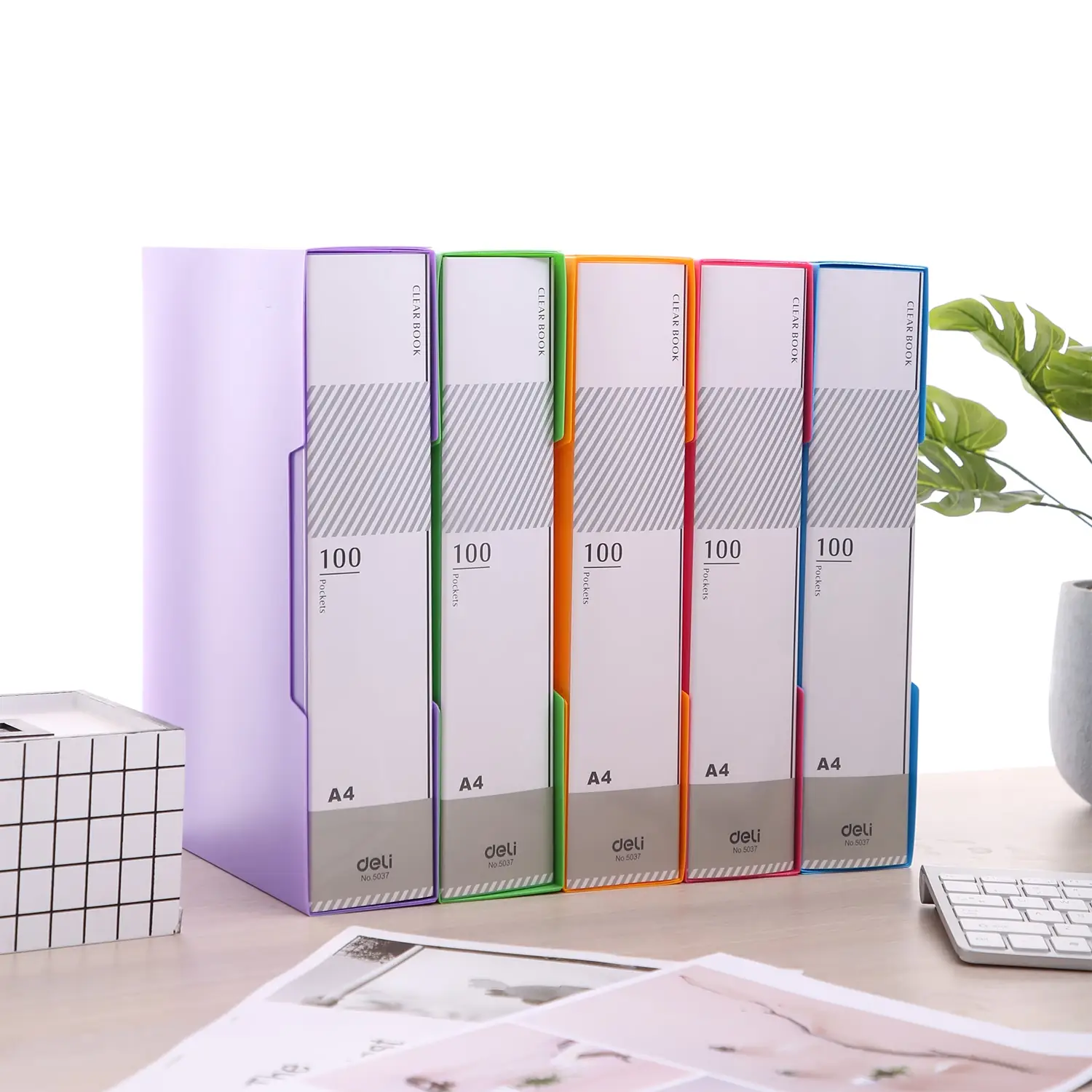 Carpeta con Folios Vivid Colors A4 100 hojas - Imagen 5