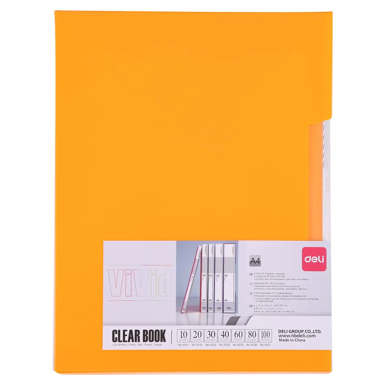 Carpeta con Folios Vivid Colors A4 100 hojas - Imagen 3