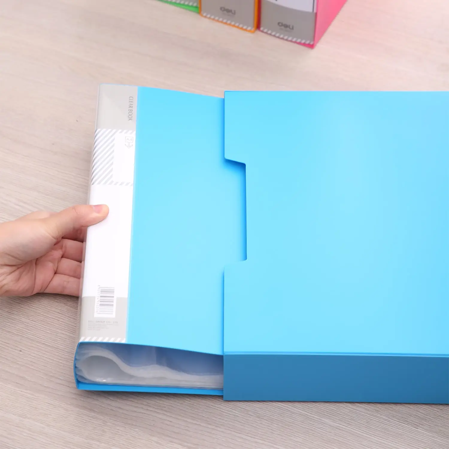 Carpeta con Folios Vivid Colors A4 100 hojas - Imagen 2