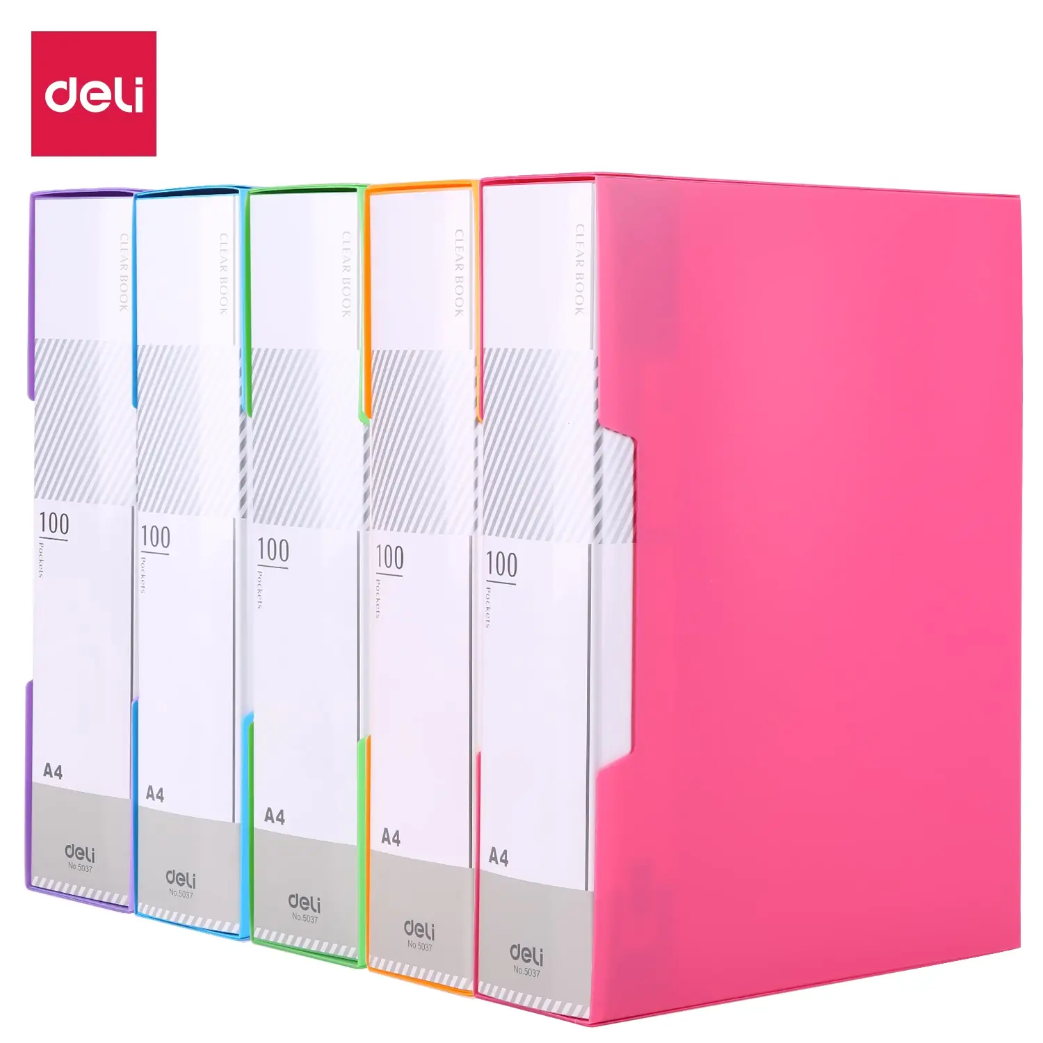 Carpeta con Folios Vivid Colors A4 100 hojas